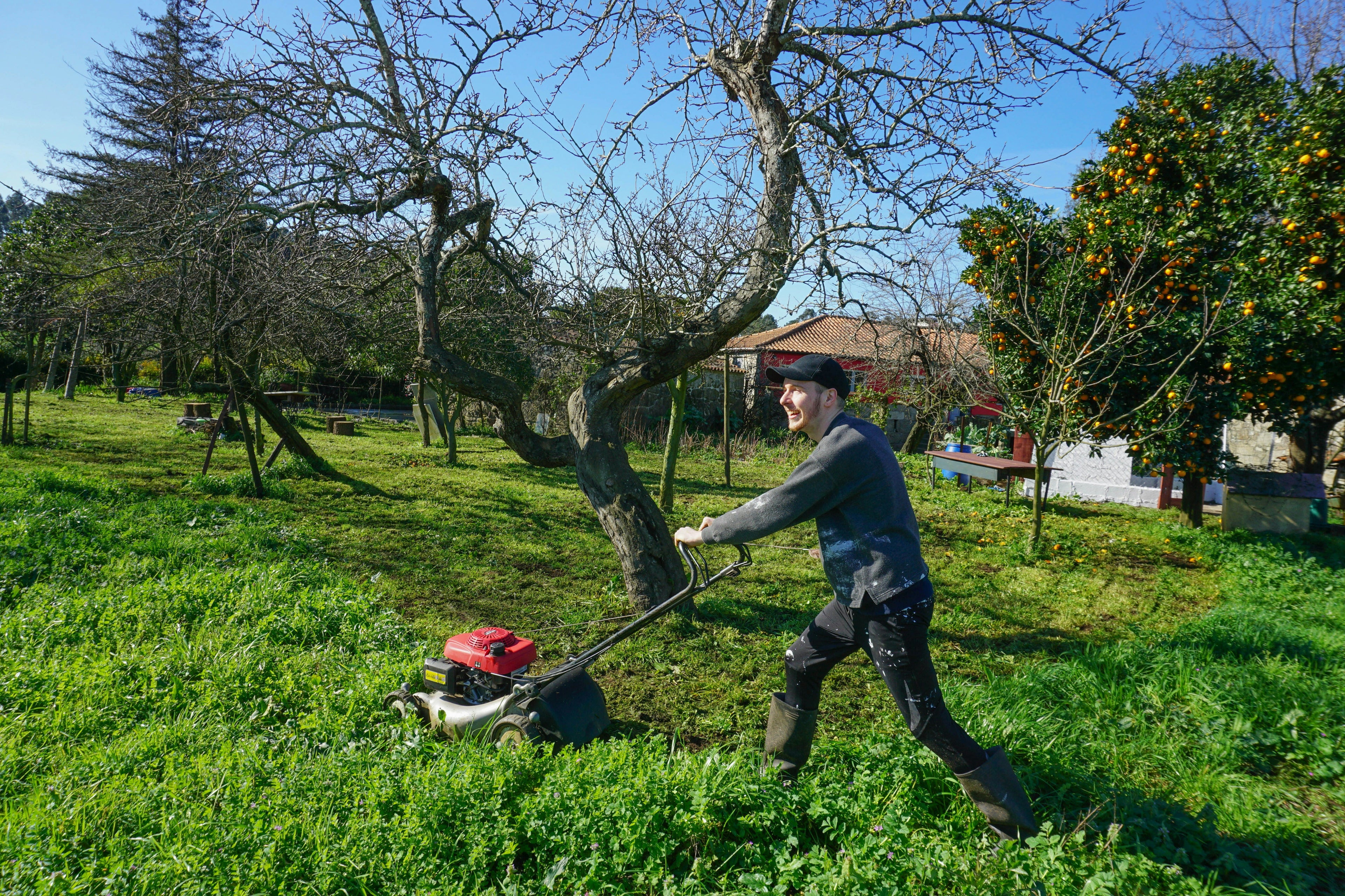 "The Secret to a Lush, Green Lawn All Year Round"