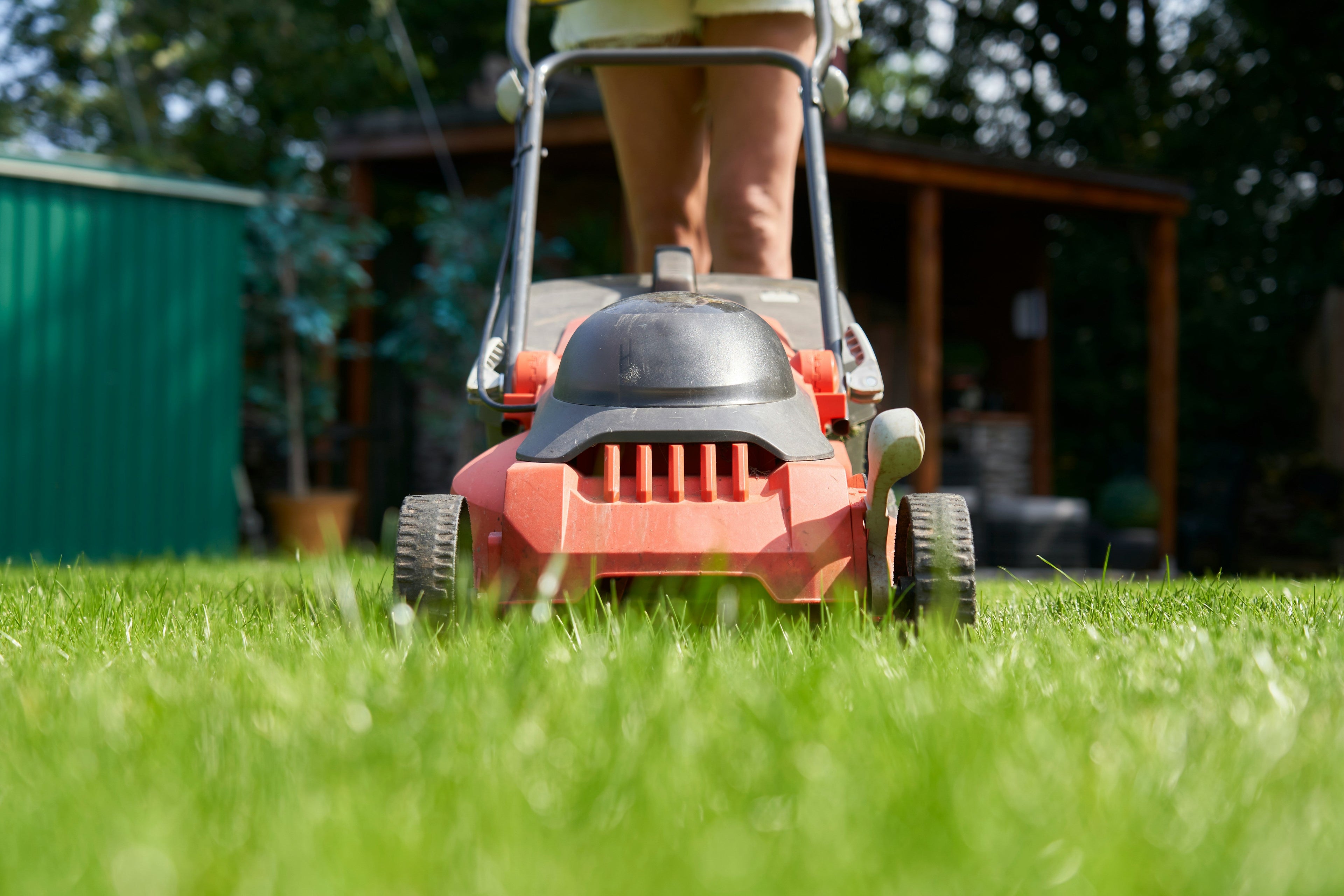 5 Must-Have Tools to Transform Your Garden This Summer